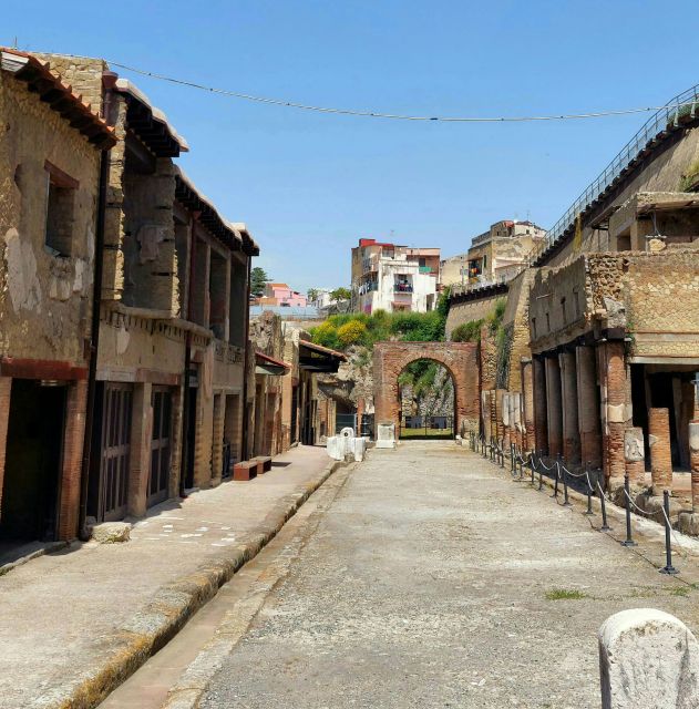 Ancient Herculaneum: 2,5-Hour Guided Tour - Pricing Details