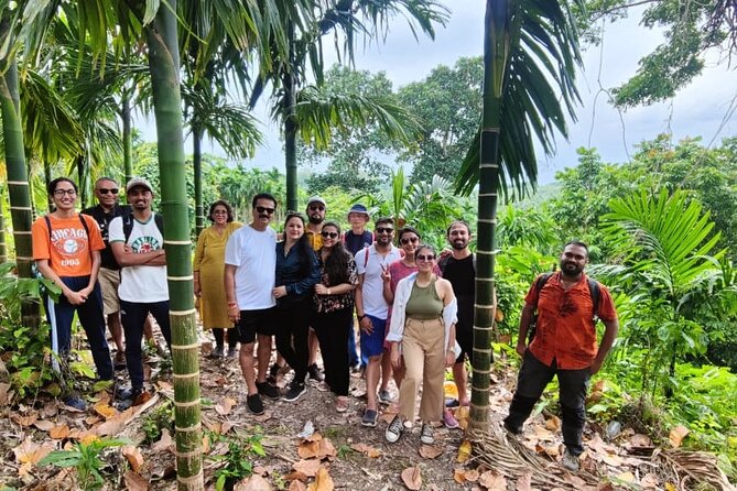 Ancient Lava Stream Trek Through Dense Tropical Forest. - Accessibility Considerations