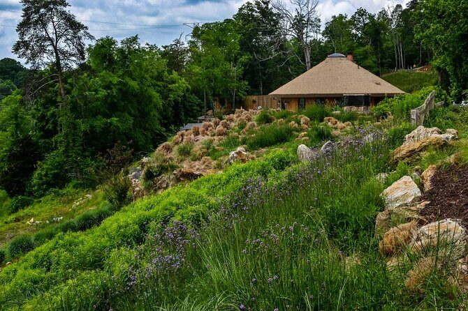 Ancient Lore Village Scenic Tour and Lunch - An In-Depth Look at the Tour Experience