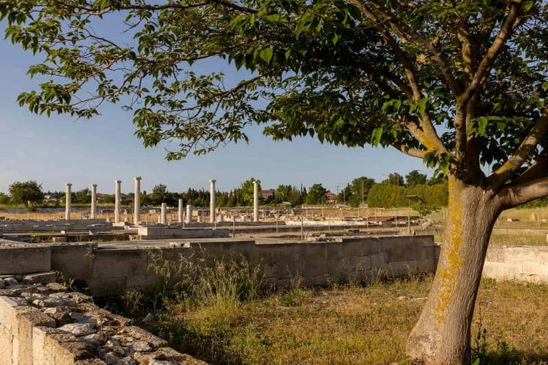 Ancient Pella Tour: In the Footsteps of Alexander - Final Thoughts: Who Is This Tour Best For?