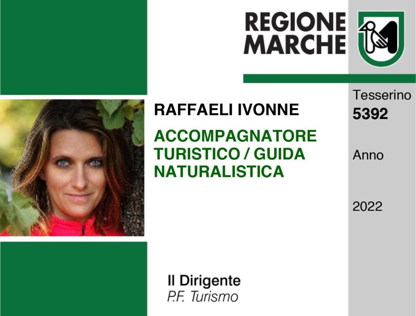 Ancona: City Walking Tour With Wine and Food Tasting - Highlights of the Walking Tour