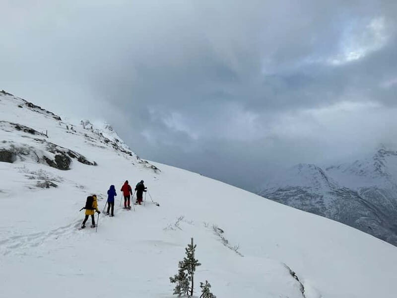 Åndalsnes: Nesaksla Snowshoeing Tour with Gondola Ticket - What’s Included & Practical Details