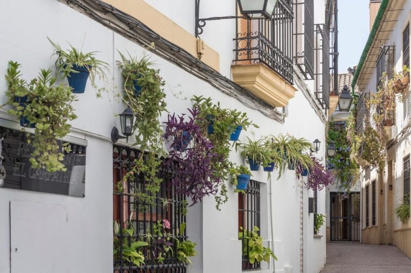 Andalusia Express From Madrid 4 Day Tour - Key Points