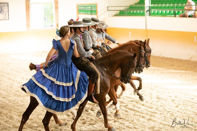 Andalusian Horses and Flamenco Show With Transportation - Show Highlights