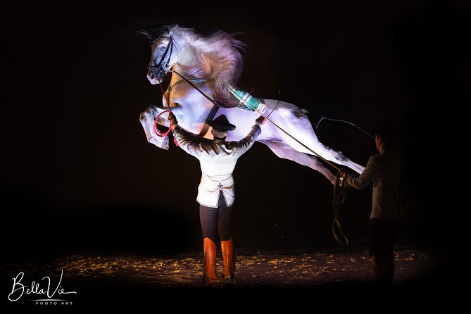 Andalusian Horses and Flamenco Show With Transportation - Accessibility Features
