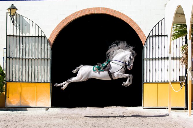 Andalusian Horses and Flamenco Show With Transportation - Contact Information