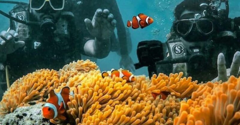 Andaman Adventure With Scuba Diving - 3 Nights 4 Days - Good To Know