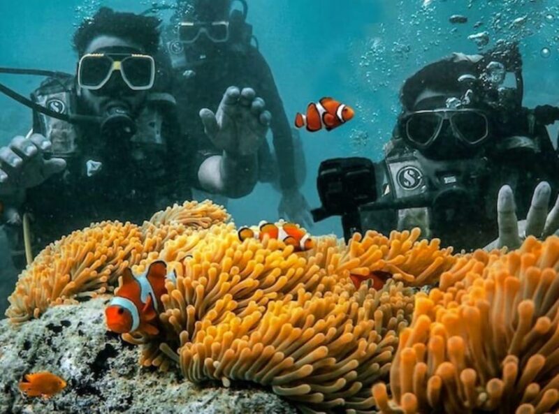 Andaman Adventure With Scuba Diving - 3 Nights 4 Days - Inclusions