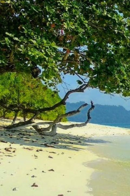 Andaman Adventure With Scuba Diving - 3 Nights 4 Days - Pricing and Duration