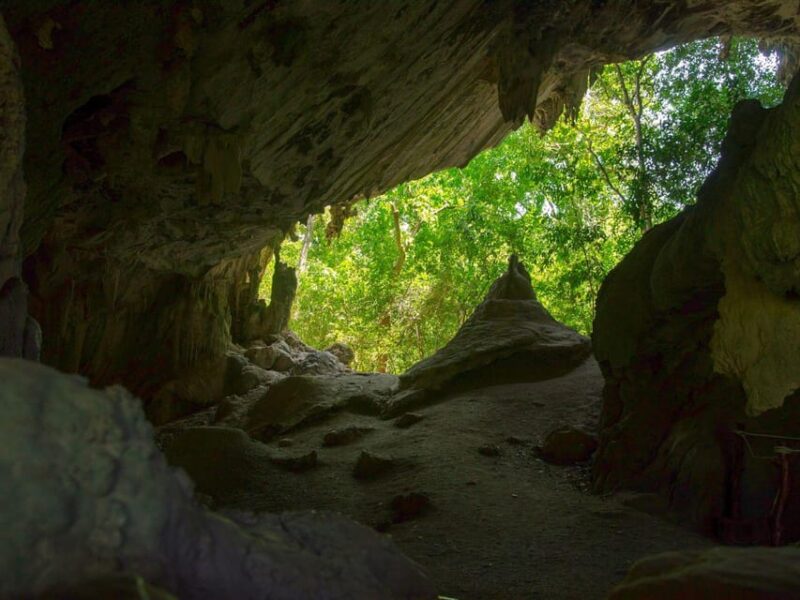 Andaman Island: Day Tour to Baratang Island - Important Information