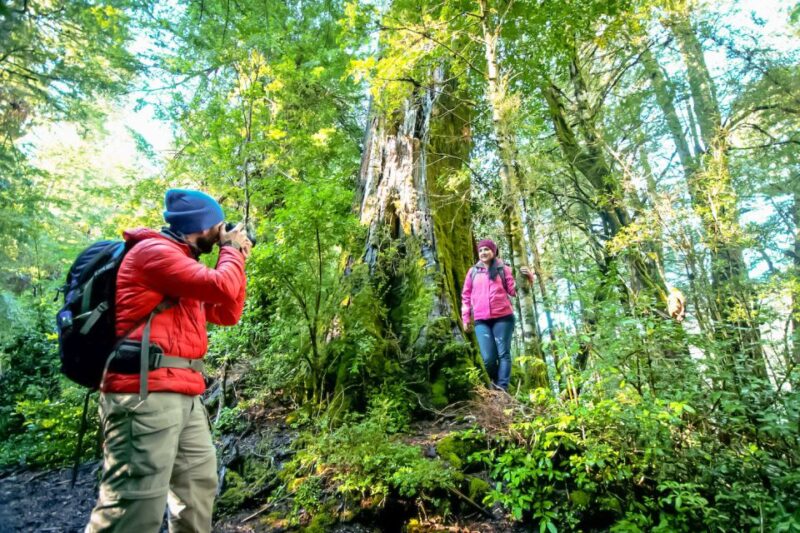 Andean Crossing: Puerto Varas to San Carlos De Bariloche - Inclusions of the Tour
