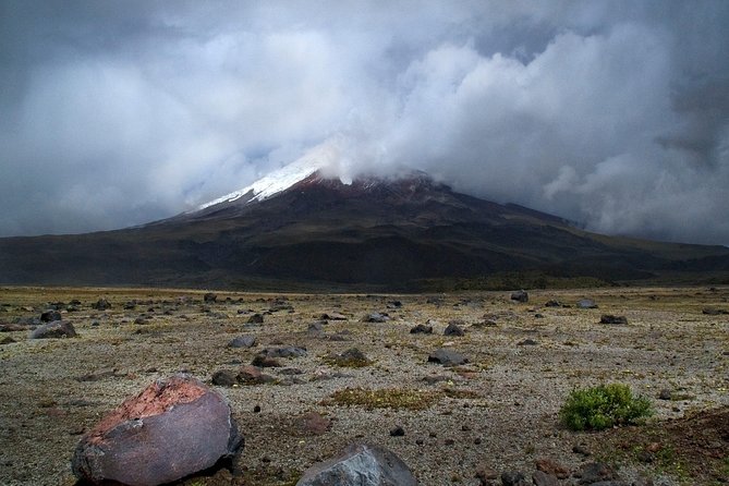 Andes and Amazon in 3 Days: Cotopaxi, Quilotoa, Baños, Amazon - Traveler Reviews