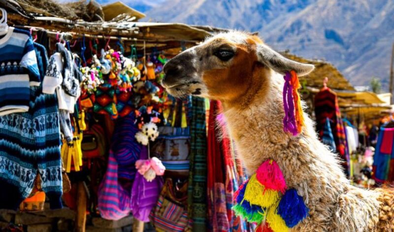 Andes: Colca Canyon Day-Trip - Best Time to Visit