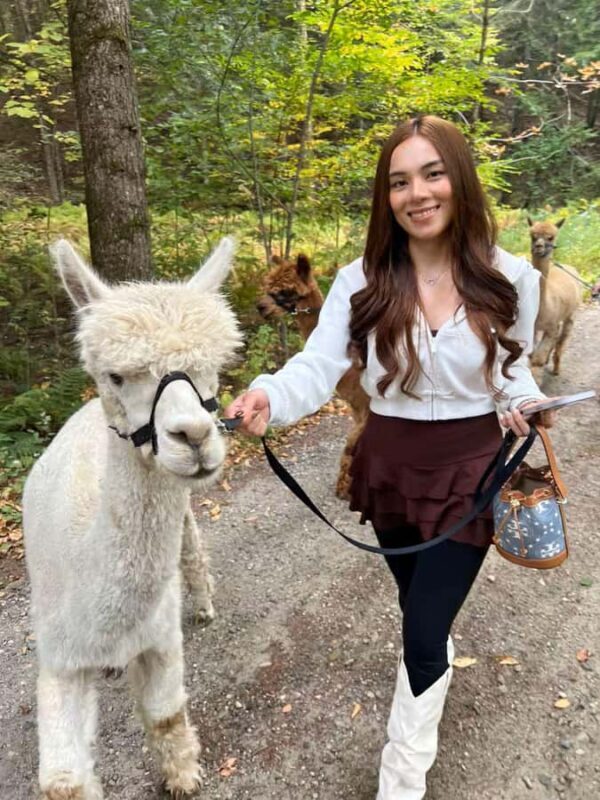 Andover, VT: Alpaca Interaction and Walk Experience - Key Points