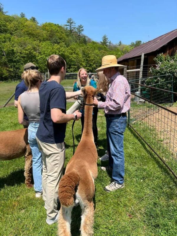 Andover, VT: Alpaca Interaction and Walk Experience - An Authentic Vermont Farm Experience