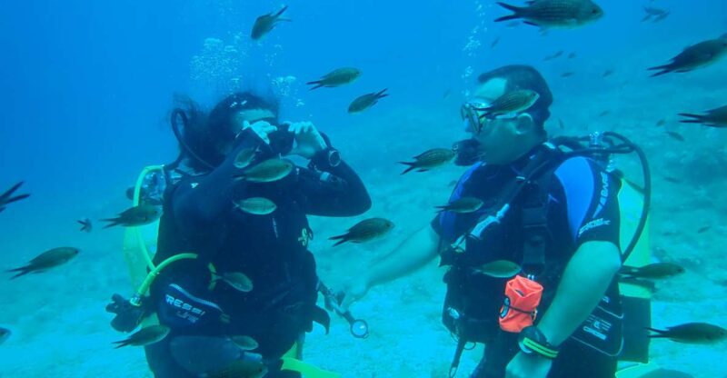 Andros: Get Your Padi Open Water Certificate! - Course Duration and Structure