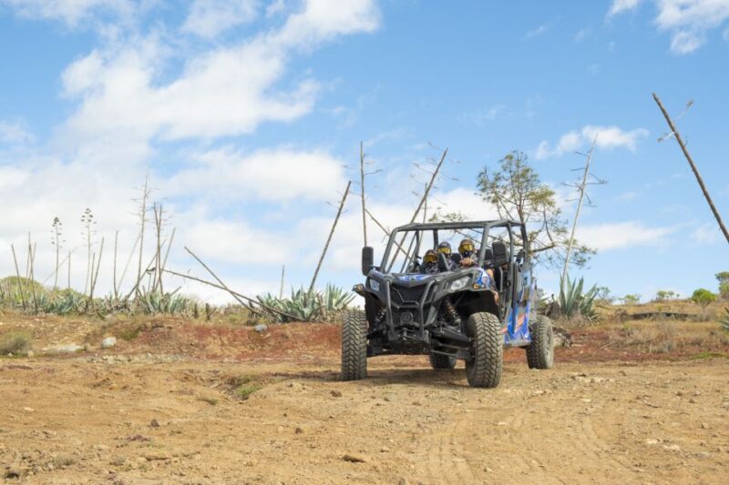 Anfi Beach: Guided Buggy Tour. - Meeting Point and Logistics