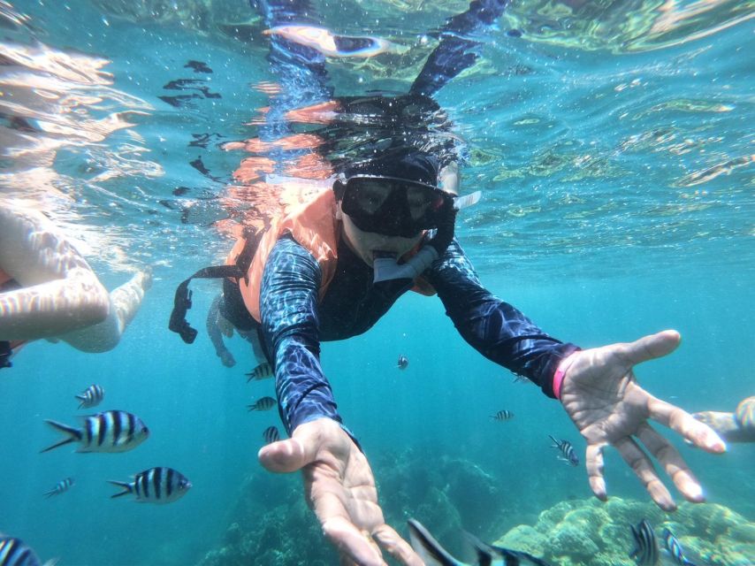 Ang Thong Full-Day Cruise With Sunset by the Red Baron Boat - Restrictions and Suitability