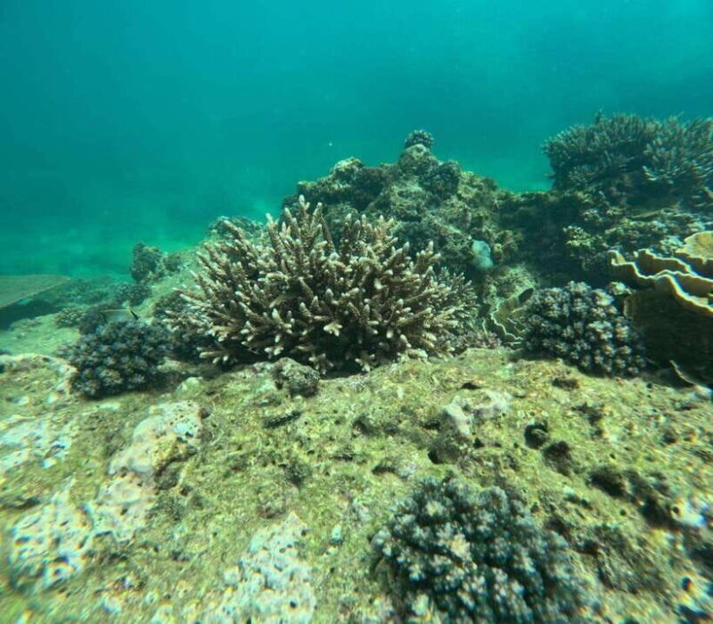 Angel Rock Snorkeling Private Trip - Key Points