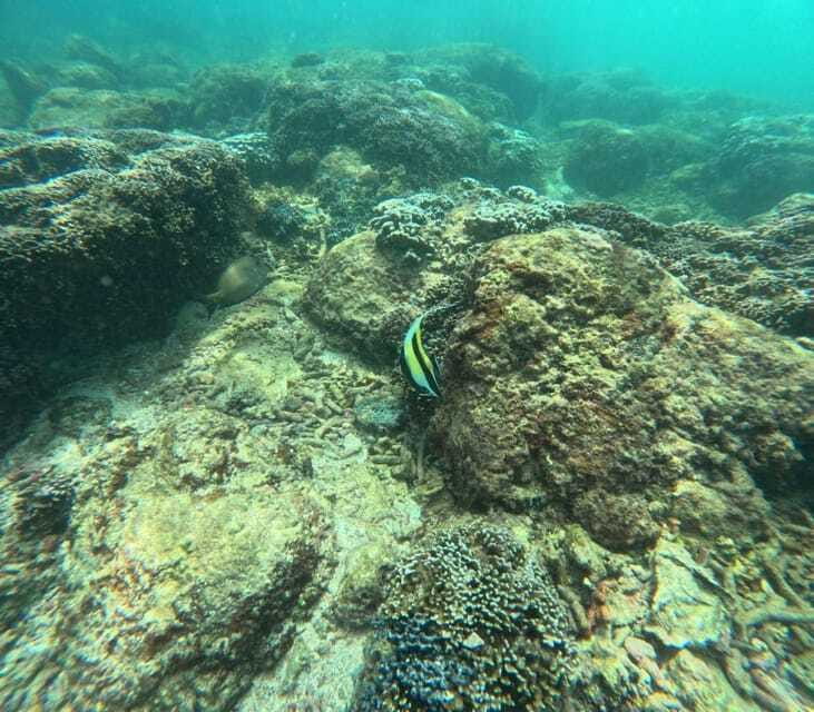 Angel Rock Snorkeling Private Trip - Final Thoughts: Is It Worth It?