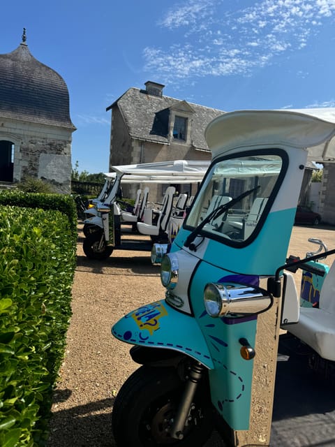 Angers: Street Art ride in an electric Tuk Tuk - Final Thoughts: Who Should Take This Tour?