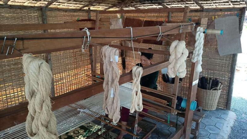 Angkor Silk Farm & Lotus Silk Farm: Siem Reap Discovery Tour - An In-Depth Look at the Tour Experience