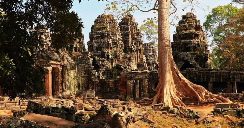 Angkor Wat Explore The Most Iconic Temples, Private Tuk-Tuk - Who Will Benefit Most?