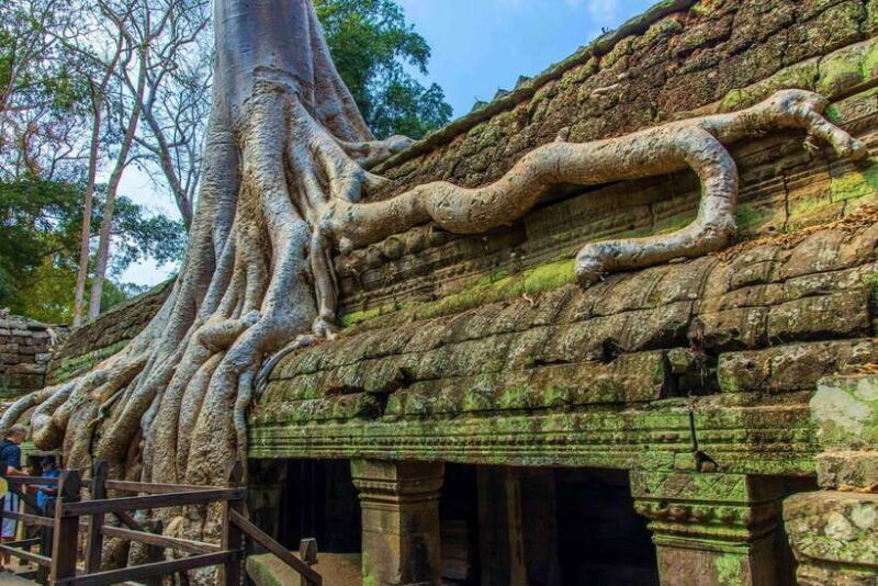Angkor Wat one Day Private Tour for All Highlight Temples - The Logistics: What You Need to Know