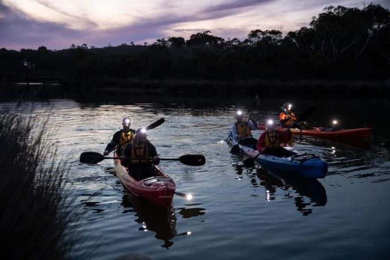Anglesea: Night Kayaking Tour Under the Stars - Practical Tips for Your Night Kayaking Adventure
