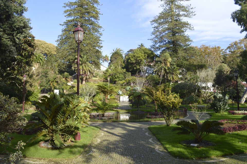 Angra Do Heroismo: Landmarks Guided Walking Tour - Learning From the Local Guide