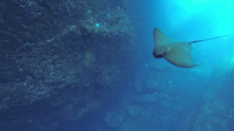 Angra do Heroísmo: Snorkeling Tour by boat - Exploring the Angra do Heroísmo Snorkeling Tour by Boat