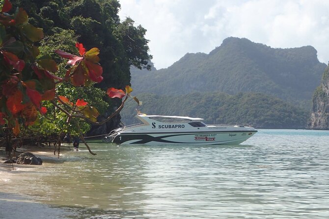 Angthong Marine Park VIP Guided Tour - Additional Details