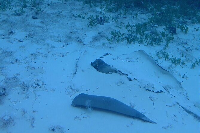 Anguilla Based: 1-Tank Group Night Dive (certification Required) - FAQ about the Anguilla Night Wreck Dive