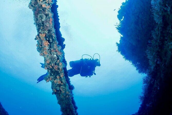 Anguilla Based: 2-Tank Group Dive Experience for Certified Divers - Group Size and Atmosphere