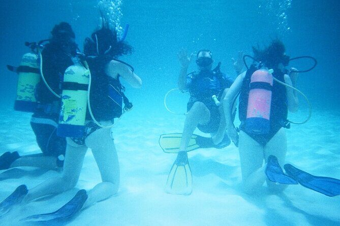 Anguilla Based:Complete your PADI Open Water Dives 1 & 2 with us - Why This Experience Offers Great Value