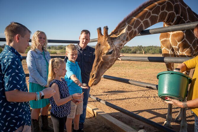 Animal Encounters - Key Points