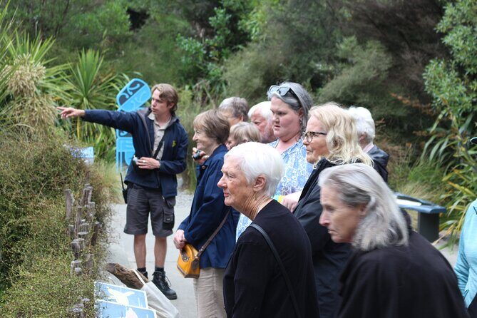 Animals of Aotearoa Wellington Zoo Tour - Key Points