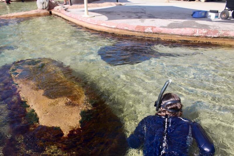 Anna Bay: Irukandji Entry + Coastal Currents Snorkel - Wrapping It Up