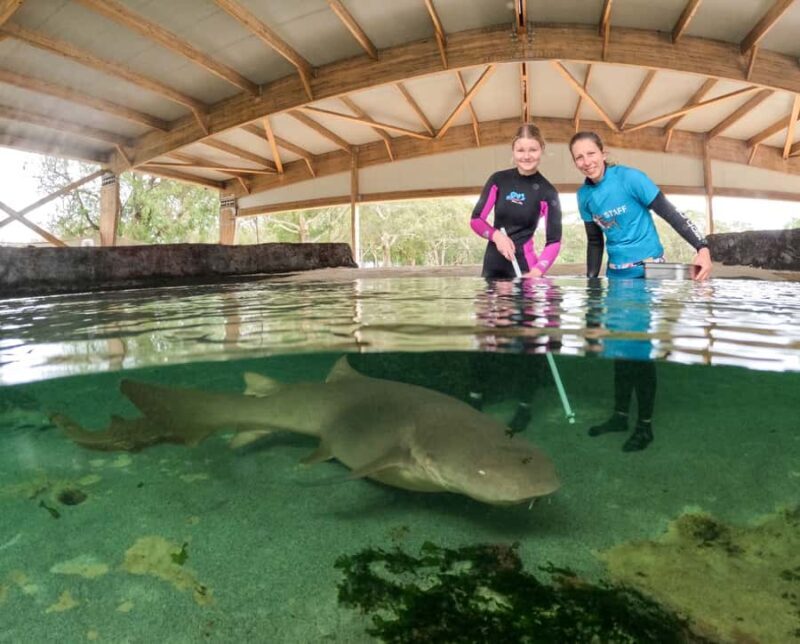 Anna Bay: Irukandji Entry Pass with Reef Shark Encounter - Key Points: