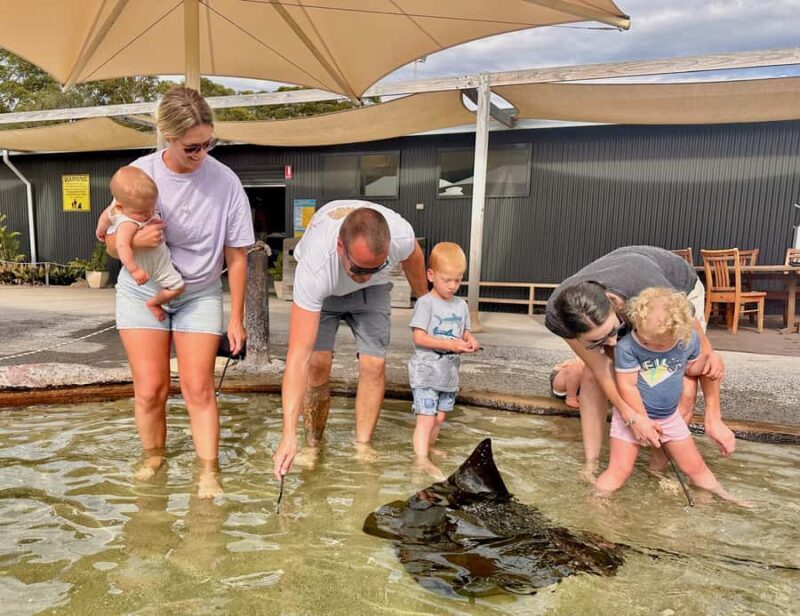 Anna Bay: Irukandji Entry Pass with Shallows Encounter - What to Expect at Irukandji in Anna Bay