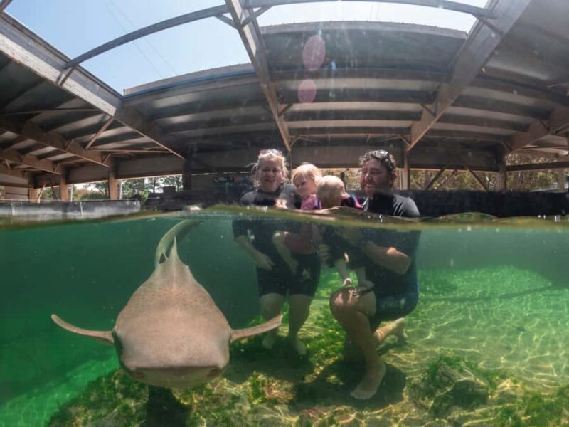 Anna Bay: Irukandji Entry Pass with Zebra Shark Encounter - What to Expect at Irukandji in Anna Bay