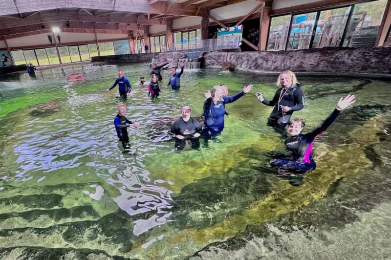 Anna Bay: Irukandji Entry with Zebra Shark Snorkel - Final Thoughts: Who Should Consider This Tour?