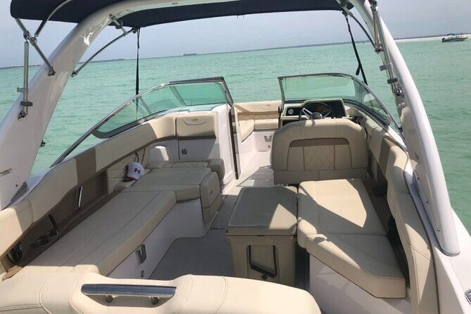 Anna Maria island 2 hour Dolphin Tours - The Experience’s Highlights