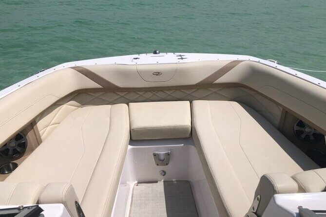 Anna Maria island 2 hour Dolphin Tours - The Sum Up