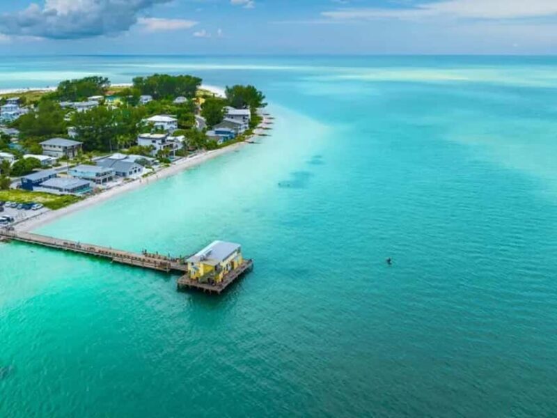 Anna Maria Island: Dolphin Cruise - Key Points