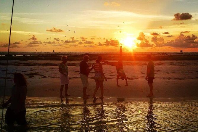 Anna Maria Island Dolphin Sunset Boat Tour - The Experience: What to Expect from Start to Finish