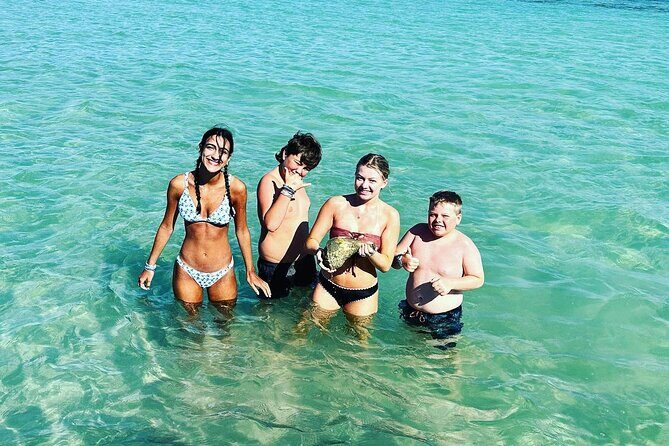 Anna Maria Island Dolphins & Beginners Snorkeling Adventure 4Hrs - A Closer Look at the Tour Experience