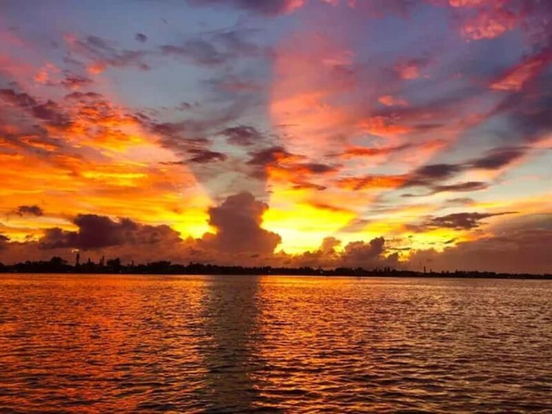 Anna Maria Island: Sunset Dolphin Cruise - Key Points