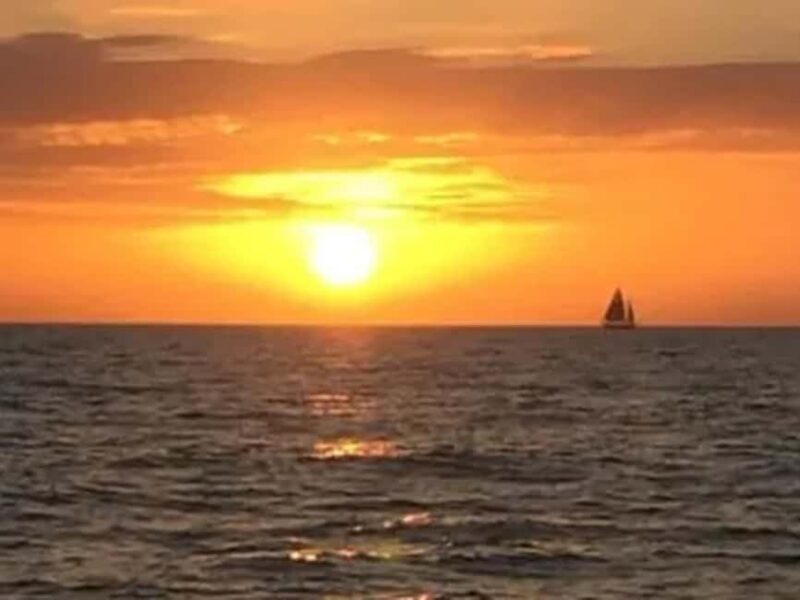 Anna Maria Island: Sunset Dolphin Cruise - An Overview of the Sunset Dolphin Cruise