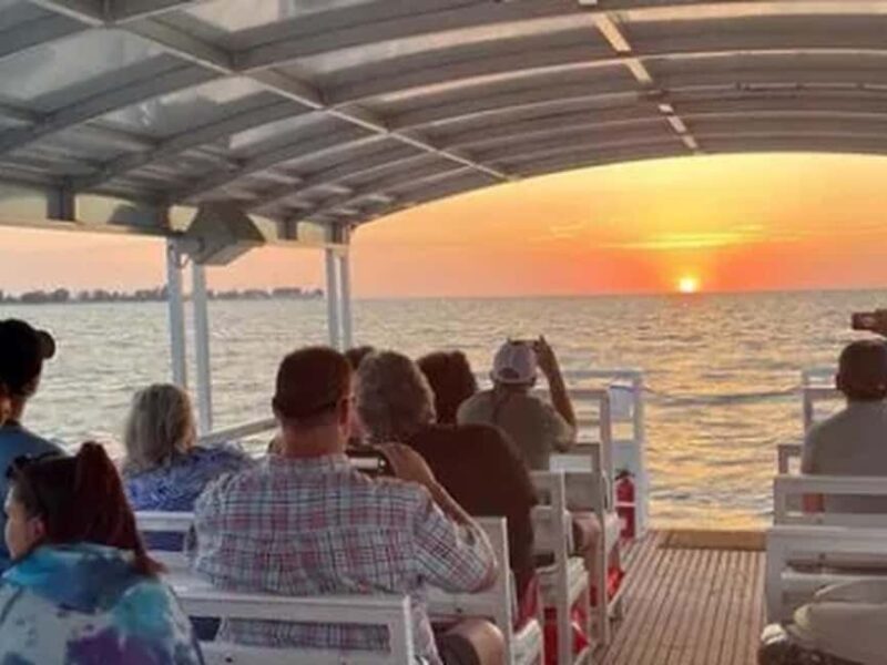 Anna Maria Island: Sunset Dolphin Cruise - The Wildlife and Scenic Highlights